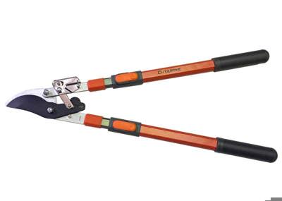 Loppers and long handled Pruners