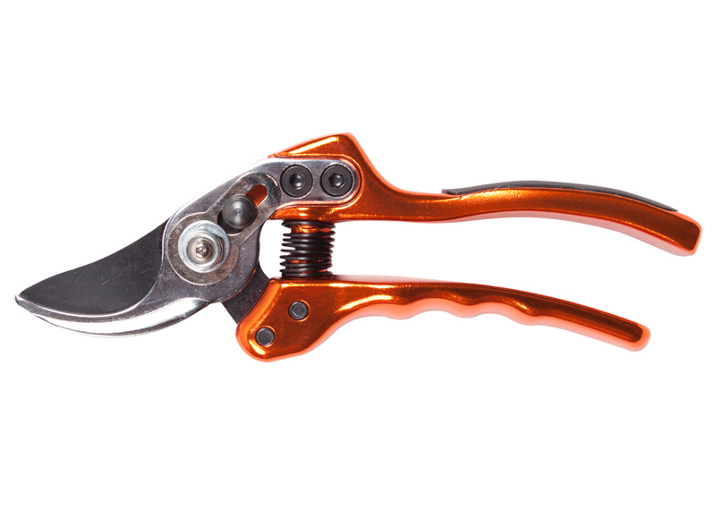 notcutts secateurs
